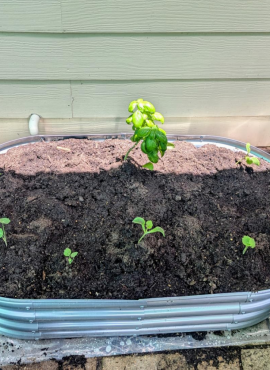 企业微信截图_1765439335658